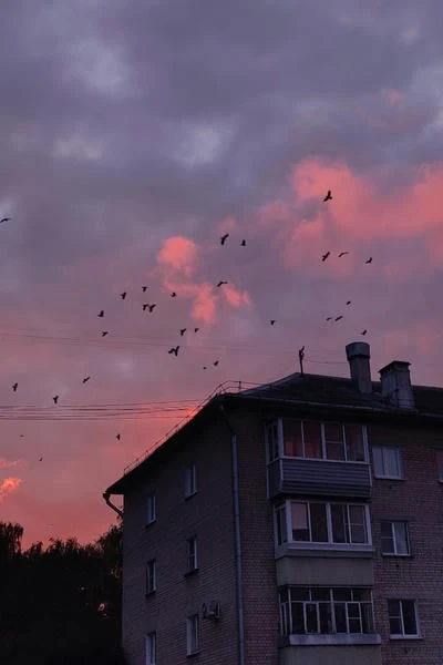 Дом