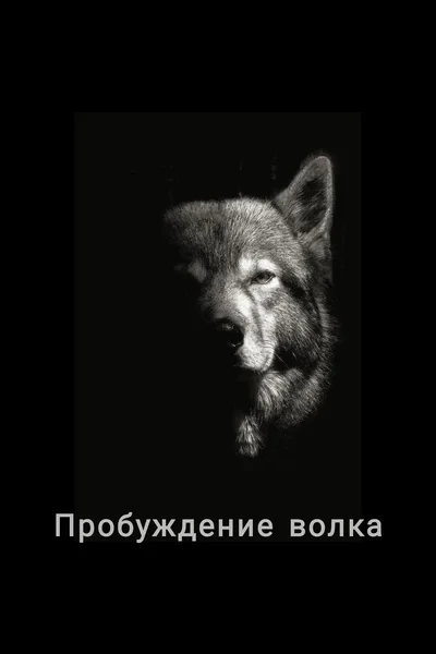 Пробуждение волка
