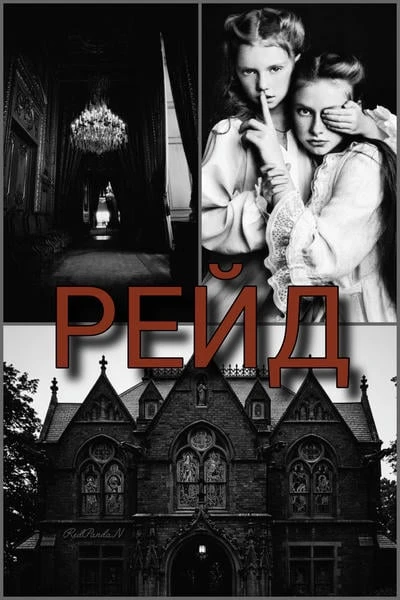 Рейд