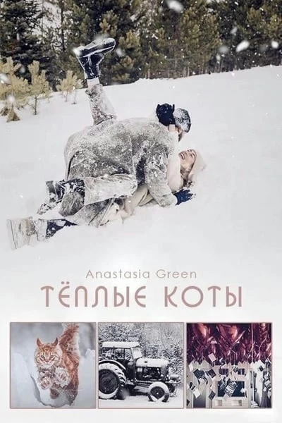 Тёплые коты