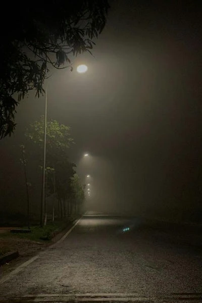 Invited by the mist