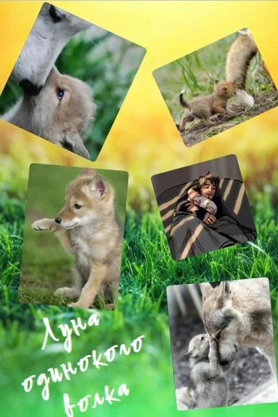 Луна одинокого волка