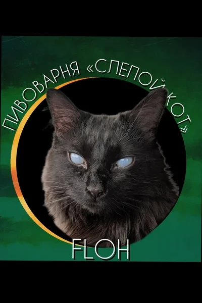 Пивоварня «Слепой кот»