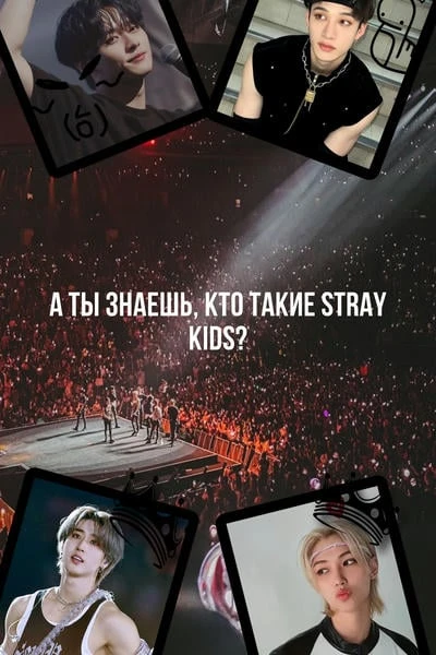 А ты знаешь, кто такие Stray Kids?