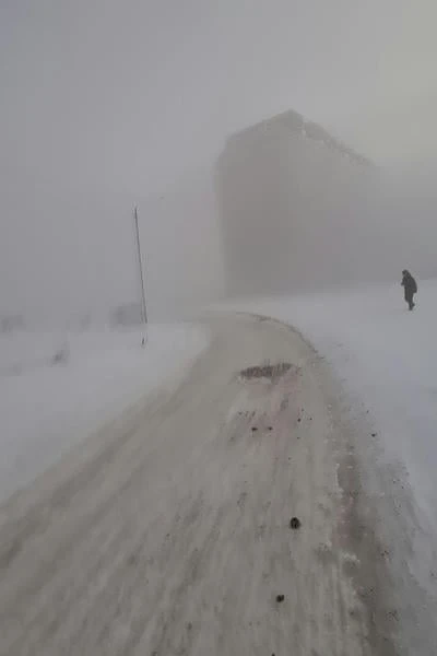 Кровь и Пепел