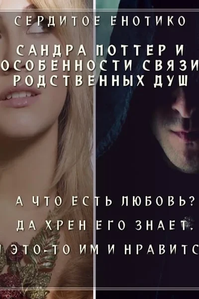 Сандра Поттер и особенности связи родственных душ