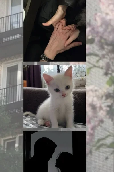 Коротко тёплое лето
