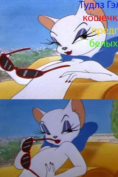 Тудлз Гэлор - белая кошечка, которая предпочитает белых мужчин