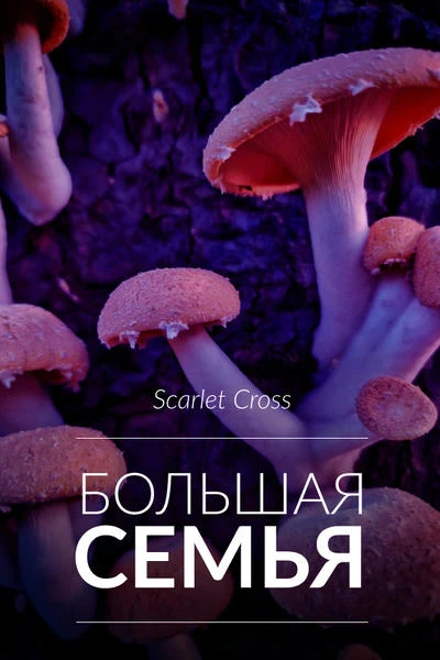 Большая семья