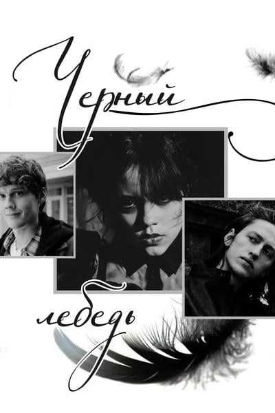 Черный лебедь