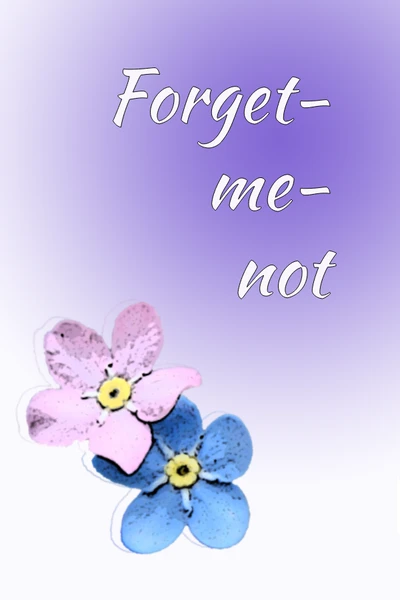Forget-me-not