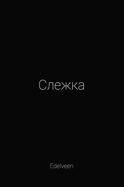 Слежка