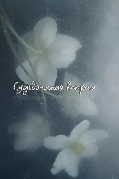 *⋆❀°Судьбоносная встреча°❀⋆*