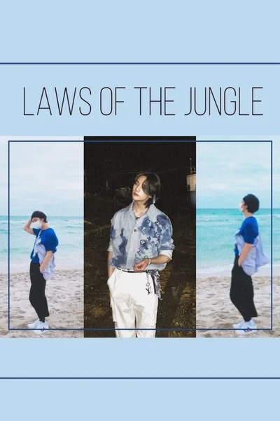 Laws of the jungle: road to feelings