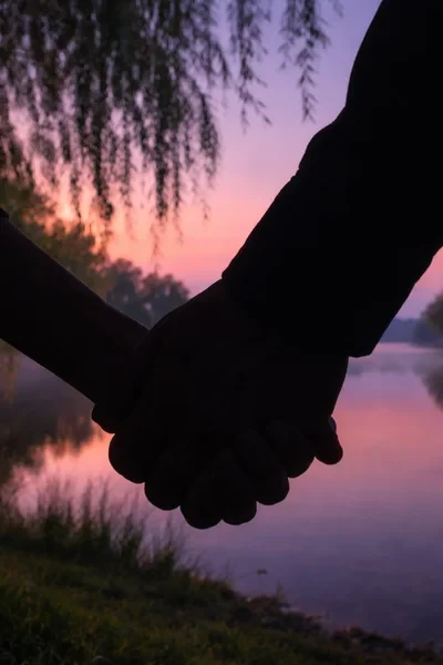 Цветы для Мэри