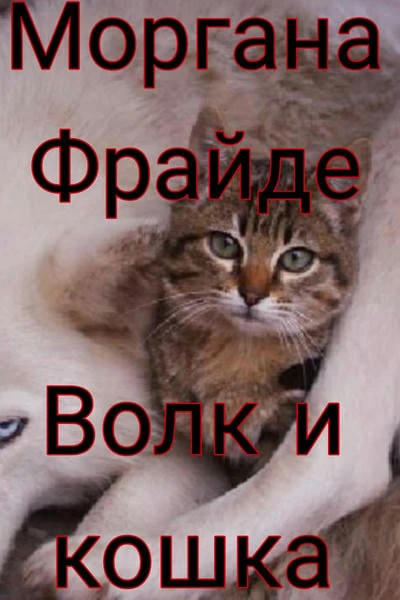 Волк и кошка