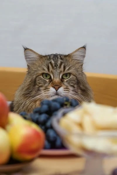 Столик на двоих