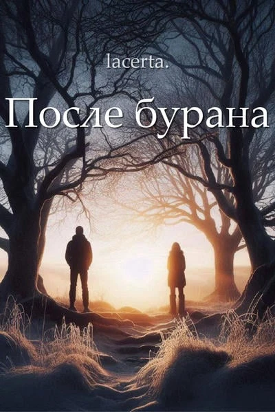 После бурана