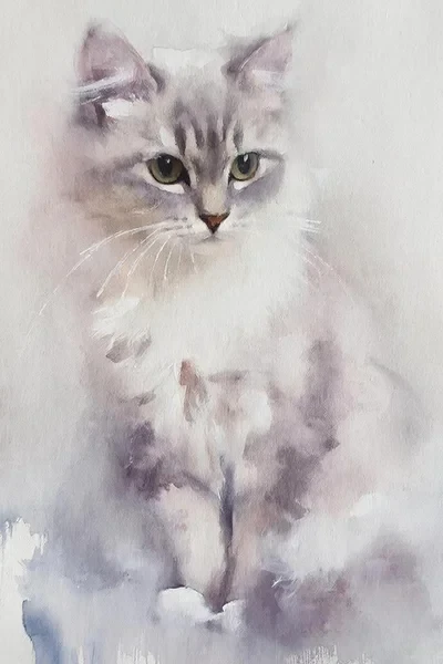 Человек и кошка