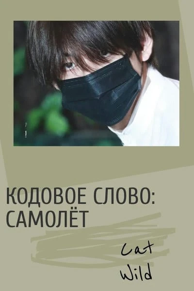 Кодовое слово: Самолет