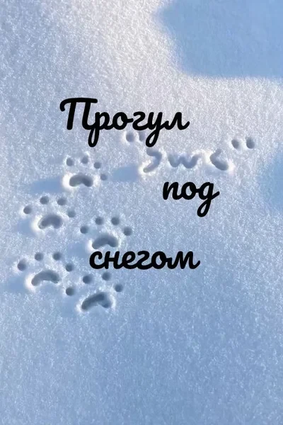 Прогул под снегом