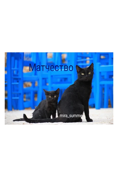 Матчество