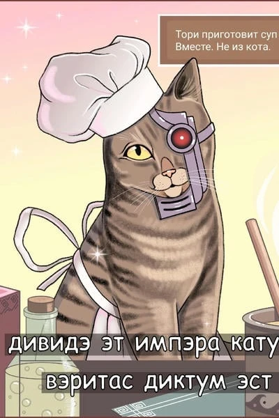 Суп с котом