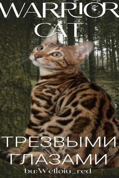 Трезвыми глазами