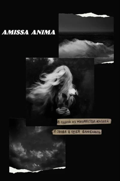 Amissa Anima