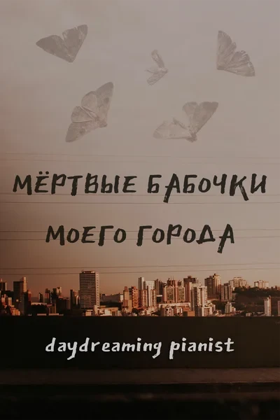 Мёртвые бабочки моего города