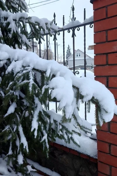 Дары волхвов,  или Let it snow ❄️