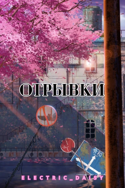 Отрывки