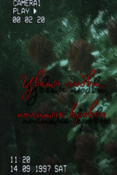 Цветы любви, политые кровью