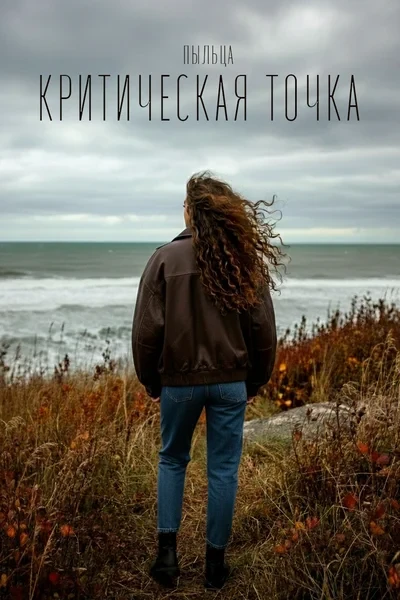 Критическая точка