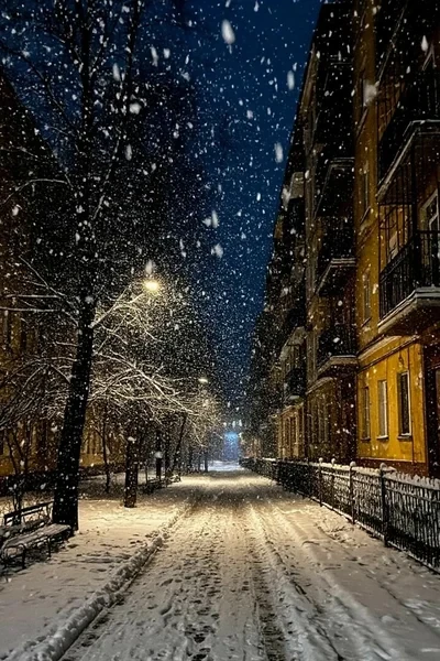 Зимнее