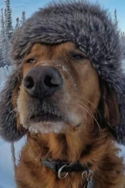 Шапка
