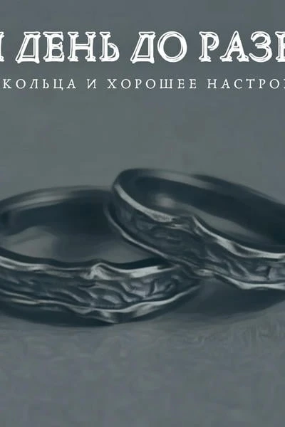 Один день до развода