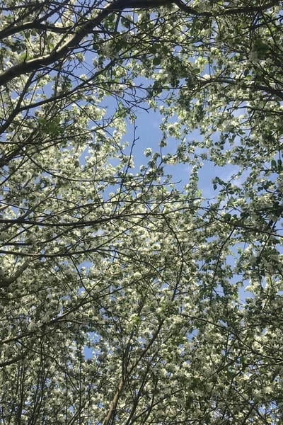 Сборник записок