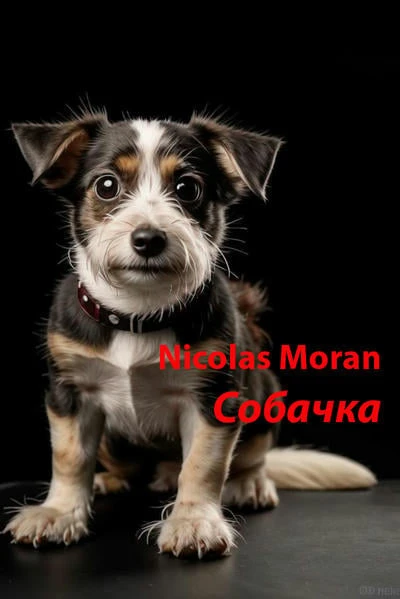 Собачка