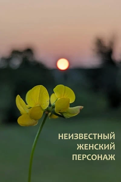 Неизвестный женский персонаж