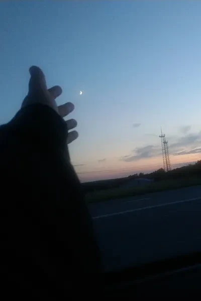 Амортенция