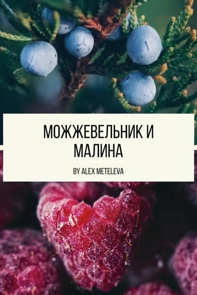 Можжевельник и малина