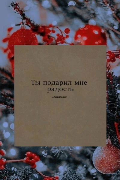 Ты подарил мне радость