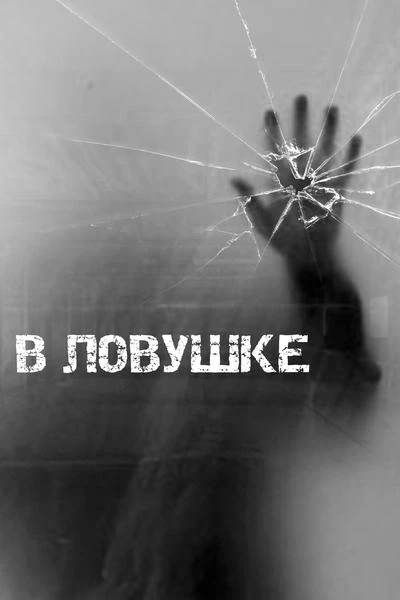 В ловушке