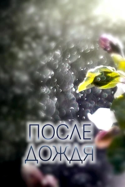 После дождя