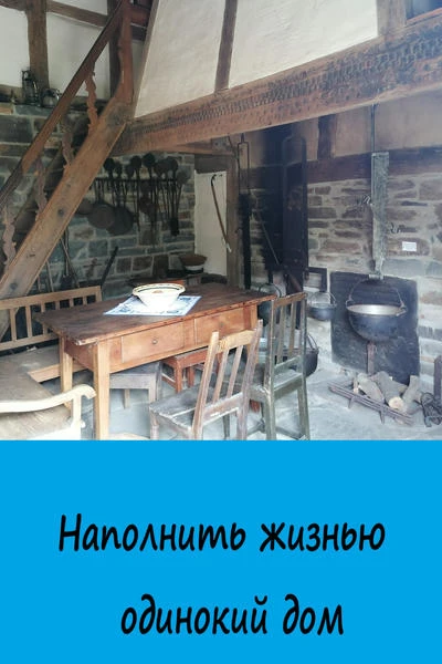 Наполнить жизнью одинокий дом