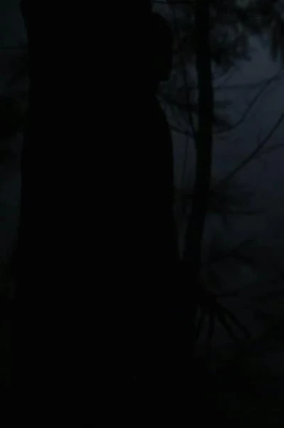 Гвинет - значит счастье