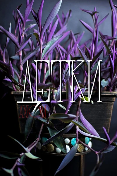 Детки