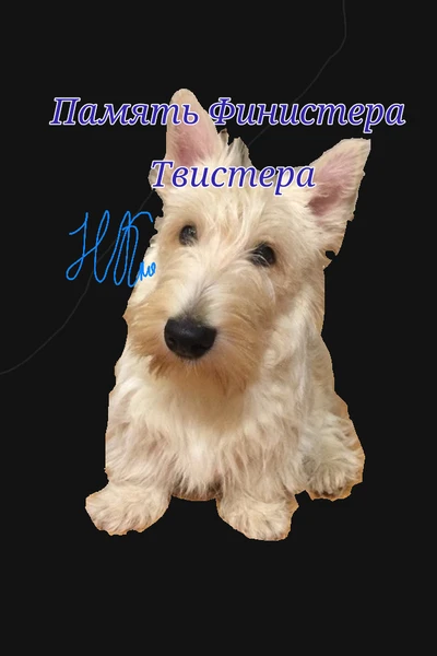 Память Финестера Твистера
