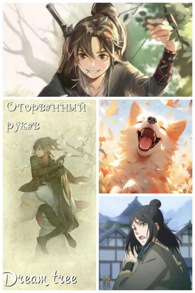Оторванный рукав